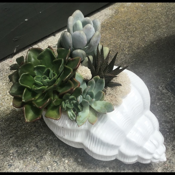 Meet your Posher, Burnita - Picture 1 of 1